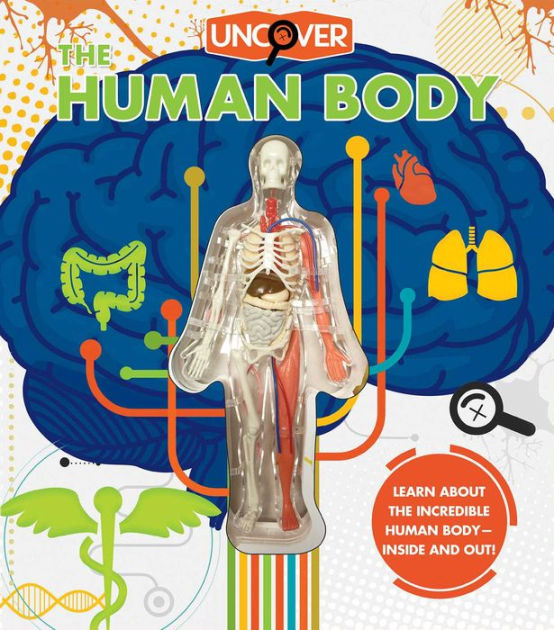 Jennifer Fairman and Craig Zuckerman Uncover Bks.: The Human Body : Take a Three-Dimensional Look Inside the Human Body for sale online by Luann Colombo 2003, Hardcover 