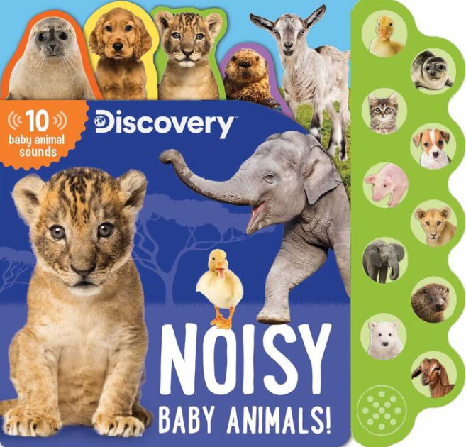 Discovery: Noisy Baby Animals! 10 button sound by Silver Dolphin, Hardcover  | Barnes & Noble®