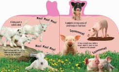 Alternative view 3 of Discovery: Noisy Baby Animals!
