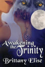 Awakening the Trinity