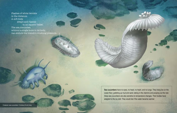 Deep, Deep Down: The Secret Underwater Poetry of the Mariana Trench