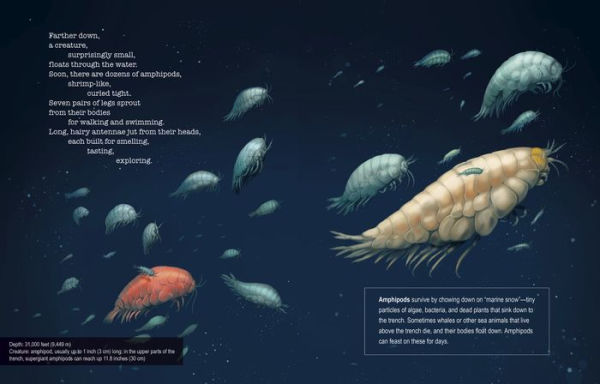 Deep, Deep Down: The Secret Underwater Poetry of the Mariana Trench