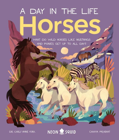 Horses (A Day in the Life): What Do Wild Horses like Mustangs and Ponies Get Up To All Day?