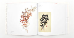 Alternative view 5 of The Beauty of the Hebrew Letter: From Sacred Scrolls to Graffiti