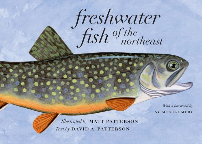 Freshwater Fish of the Northeast [Book]