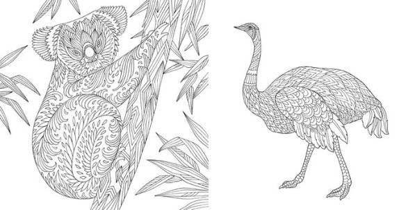 Nature Odyssey: A Wild Coloring Journey