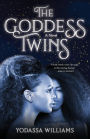 The Goddess Twins: A Novel