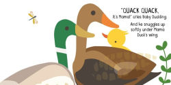 Alternative view 3 of Baby Duckling