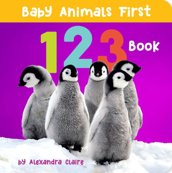 Baby Animals First Box Set: 123, Abc, Colors