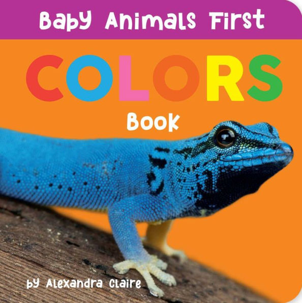 Baby Animals First Box Set: 123, Abc, Colors