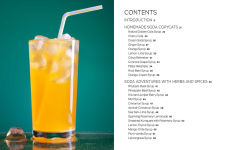 Alternative view 9 of Fizz: 70+ Homemade Artisan Sodas