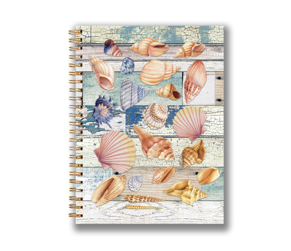 Seashell Memories