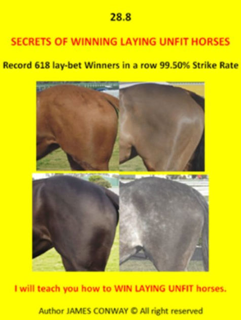 how to lay horses on betfair , betfair what if calculator how to lay horses on betfair , betfair what if calculator