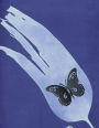 Sheet Music Paper Notebook: Black Butterfly with Blue Background