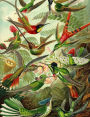 Haeckel's Hummingbirds Composition Notebook: Wide Ruled