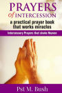 Prayers of Intercession: A Practical Prayer Book that Works Miracles: Intercessory Prayers that Shake Heaven