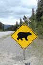 Bear Warning Road Sign Journal: 150 page lined notebook/diary