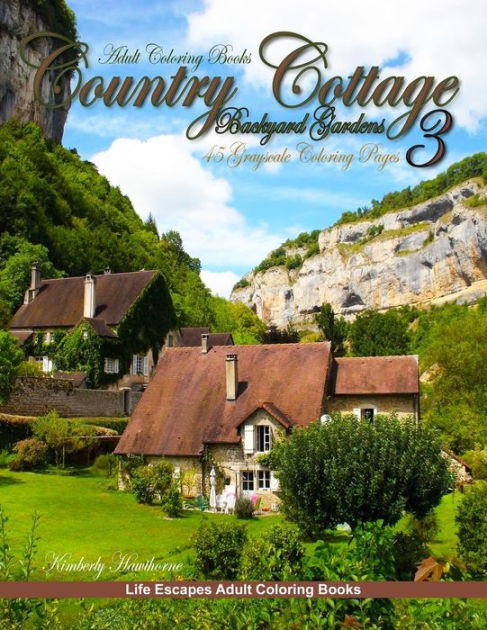 24 pages 8x11//A4 Winter Country Landscapes Rural Village Christmas FLONZ Vintage Designs for Grayscale Coloring Adult Coloring Book