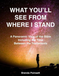 Title: What You'll See From Where I Stand: A Panoramic View of the Bible Including the Time Between the Testaments, Author: Brenda Poinsett