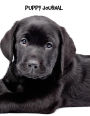 Puppy Journal: 8 x 10 inch dog notebook, Labrador Retriever, Black Labrador, blank diary, 150 sheets