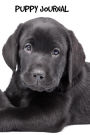 Puppy Journal: 6 x 9 inch dog notebook, Labrador Retriever, Black Labrador, graph paper, puppy notebook, 200 pages