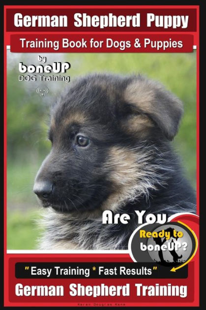 are german shepherd puppies easy to train