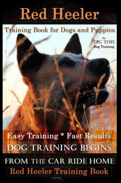 Red Heeler Training Book for Dogs Puppies By D!G THiS Dog