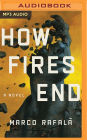 How Fires End: A Novel