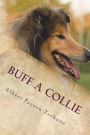 Buff A Collie