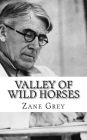 Valley of Wild Horses