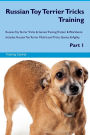 Russian Toy Terrier Tricks Training Russian Toy Terrier Tricks & Games Training Tracker & Workbook. Includes: Russian Toy Terrier Multi-Level Tricks, Games & Agility. Part 1