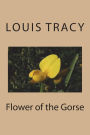 Flower of the Gorse