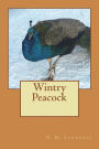 Wintry Peacock