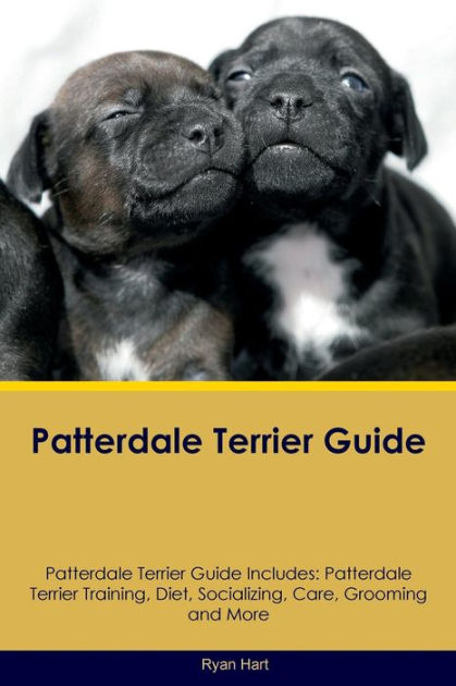 Patterdale Terrier Guide Patterdale Terrier Guide Includes Patterdale Terrier Training Diet Socializing Care Grooming Breeding And More By Ryan Hart Paperback Barnes Noble