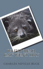 When 'Bear Cat' Went Dry