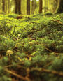 Moss Carpet Sketchbook: Blank Art Sketch Pad Journal Notebook