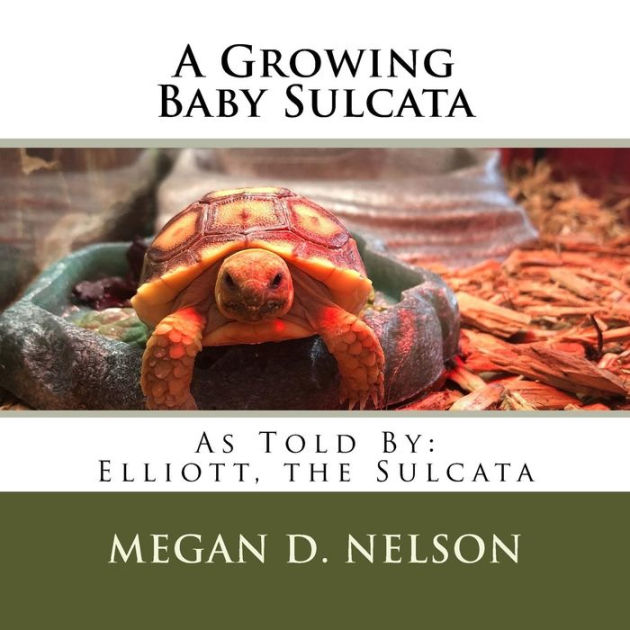 A Growing Baby Sulcata By Megan D Nelson Paperback Barnes Noble,Vegan Black Bean Burger Recipe