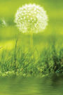 Dandelion Green Notebook: Blank Journal Diary Memoir Log Logue