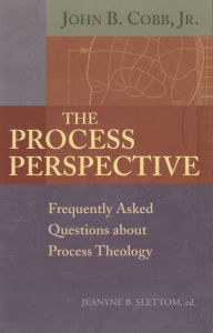 Title: The Process Perspective: Frequently Asked Questions about Process Theology, Author: John B. Cobb Jr.