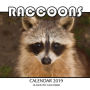 Raccoons Calendar 2019: 16 Month Calendar