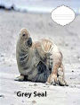 Grey Seal on Cover wideruledlinepaper Composition Book: Seal fans, composition book to keep notes, school suppies, journal used for notes, student and teacher use