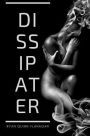 Dissipater
