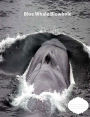 Blue Whale Blowhole College Ruled Line Paper Composition Book: Whale Fans, College students, Middle School, Adult Journals, School supplies
