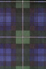 Clan Forbes
