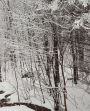 Winter School Composition Book Scenic Snowstorm 130 Pages: (Notebook, Diary, Blank Book)