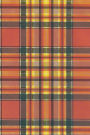 MacKintosh Chief