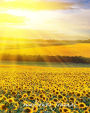 Sunflower Journal: 8 x 10 inch, college ruled composition book, blank lined journal, 150 pages