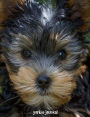 Yorkie Journal: 7.44 x 9.69 inch, wide ruled composition book, composition book for kids, 200 pages
