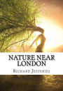 Nature Near London