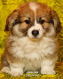 Welsh Corgi Puppy Journal: 8 x 10 inch, wide ruled composition book, blank lined journal, 150 pages